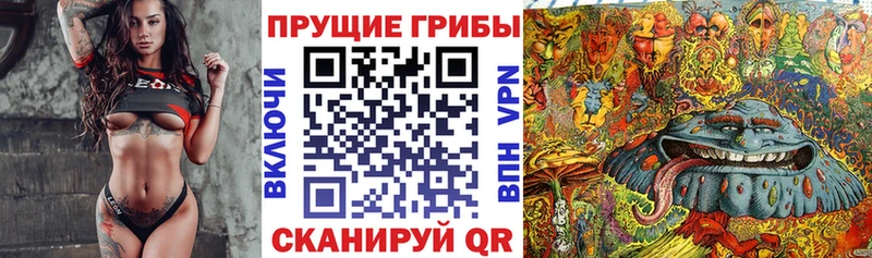 купить закладку  блэк спрут как зайти  Псилоцибиновые грибы Magic Shrooms  Усолье-Сибирское 